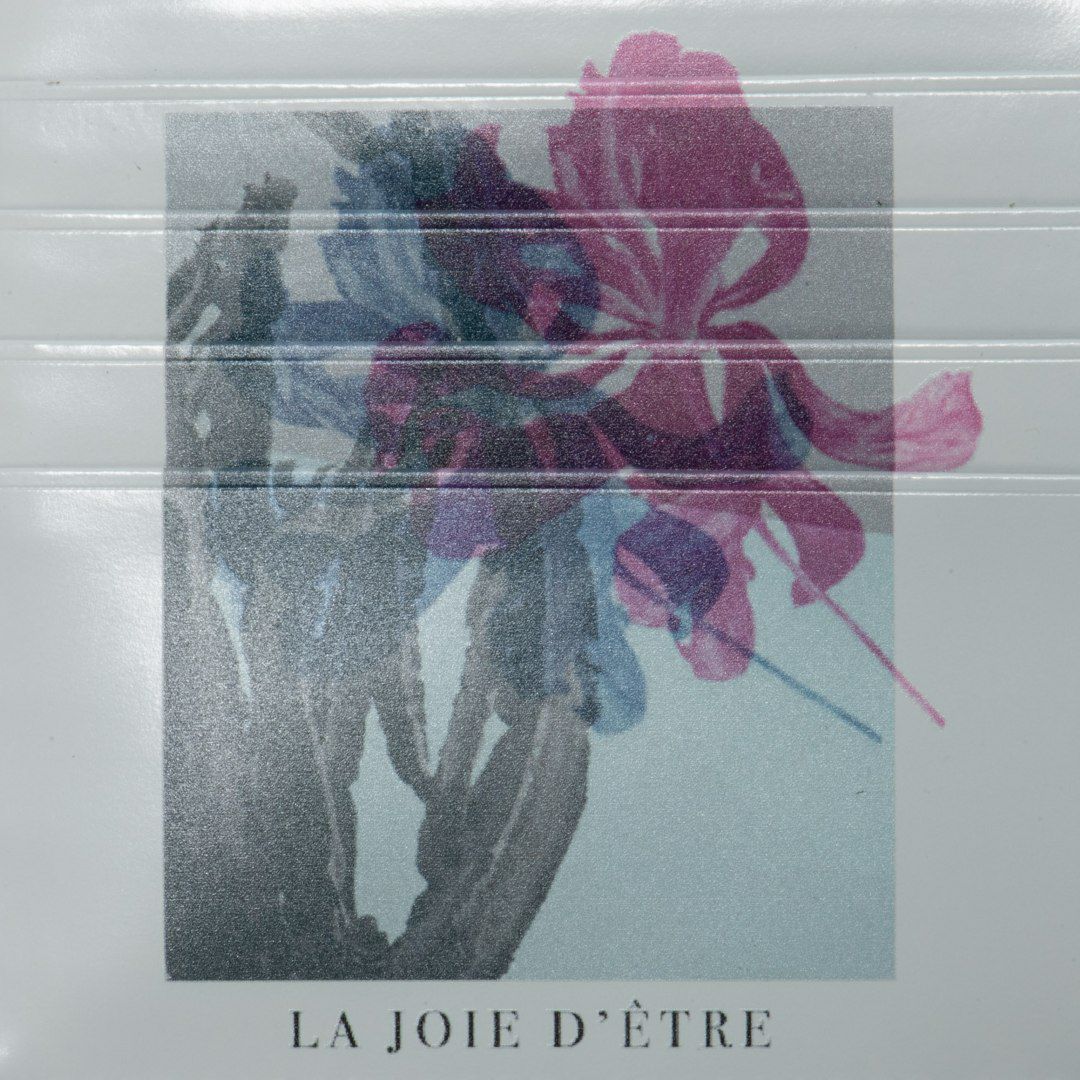 LANVIN COLLECTIONFLOWER PRINT 二つ折り財布 ブラック